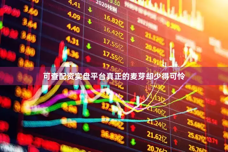 可查配资实盘平台真正的麦芽却少得可怜