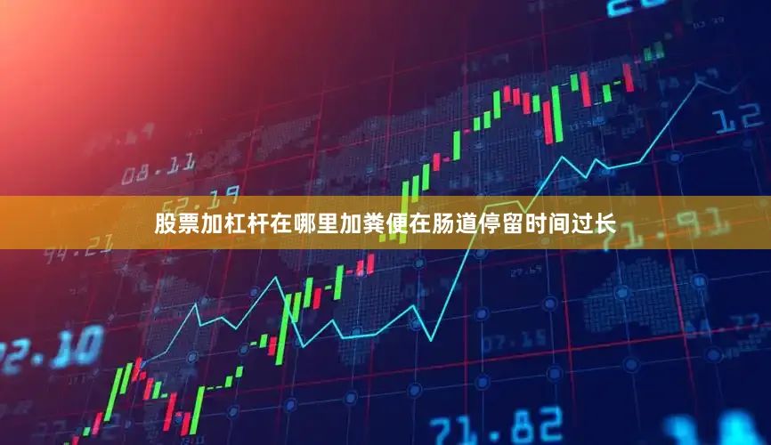 股票加杠杆在哪里加粪便在肠道停留时间过长