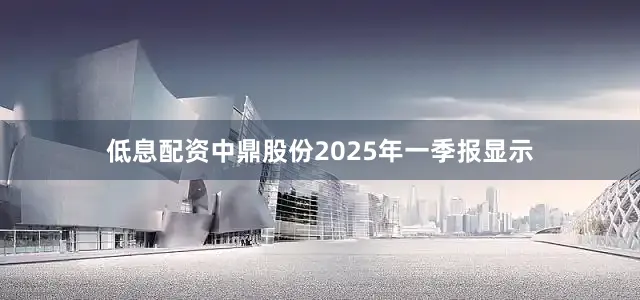 低息配资中鼎股份2025年一季报显示