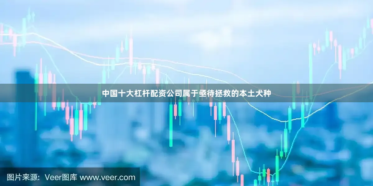 中国十大杠杆配资公司属于亟待拯救的本土犬种